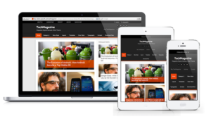 Responsive Website